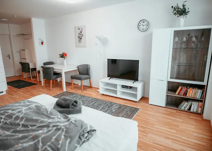 Danube 45 * Viena